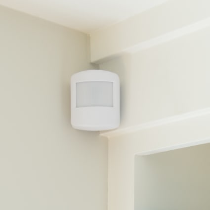 Boise motion sensor